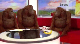 monkeeee.png monkeeee.png