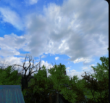 1767207178898.png 1767207178898.png