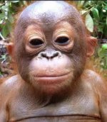 gregzoomed.jpg gregzoomed.jpg